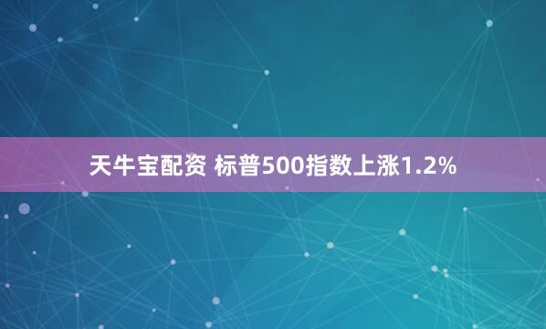 天牛宝配资 标普500指数上涨1.2%